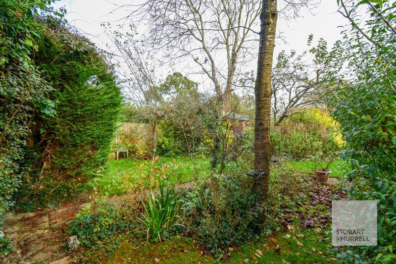 Garden Continued 