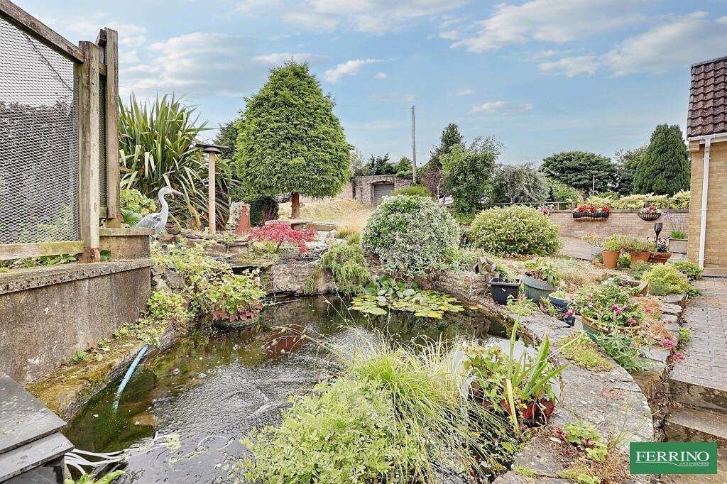 Pond