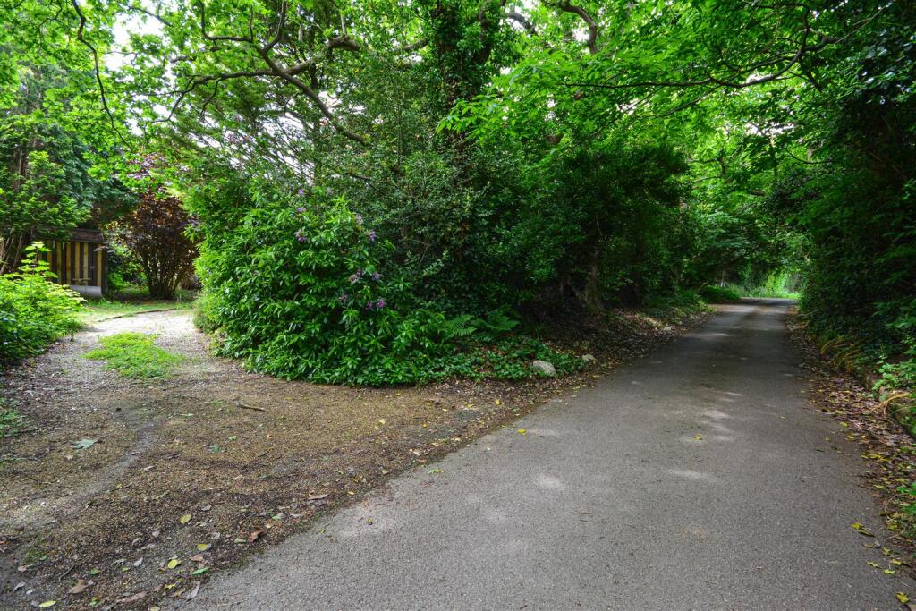 Private Road/Driveway