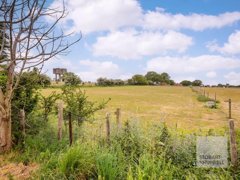 Field Views