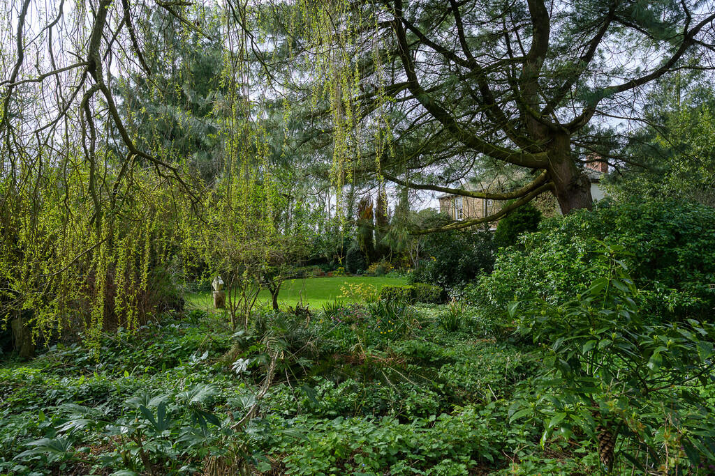 shieldbrook-19
