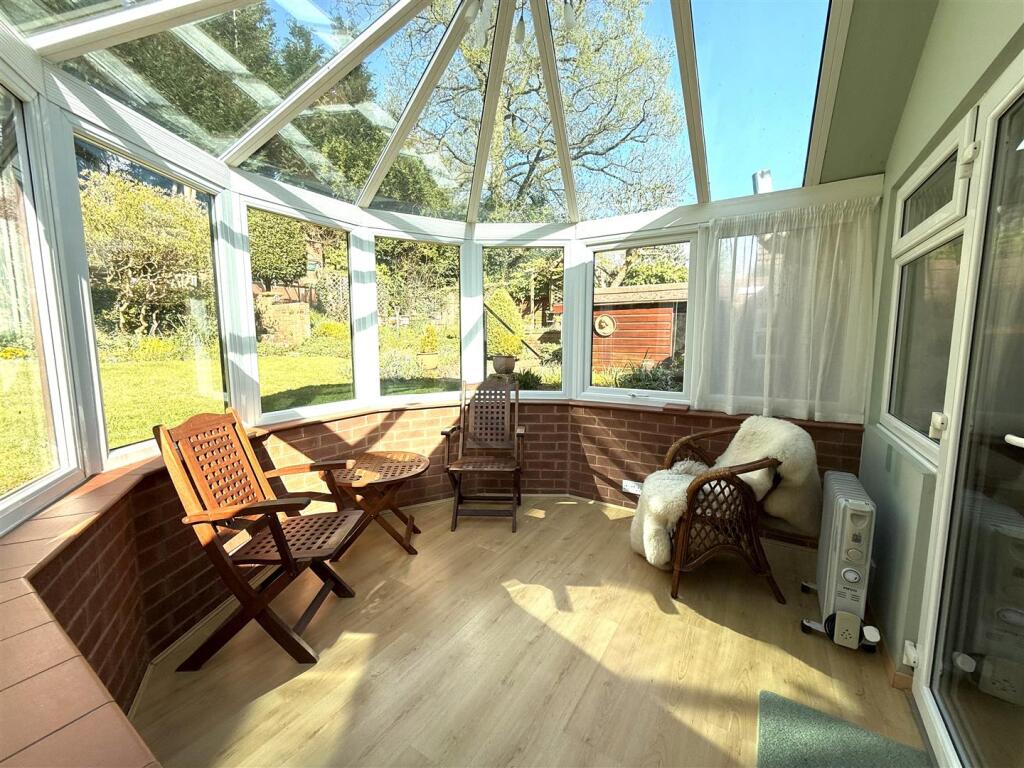 16 the pingle con.jpeg