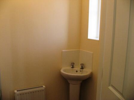 Photo 06