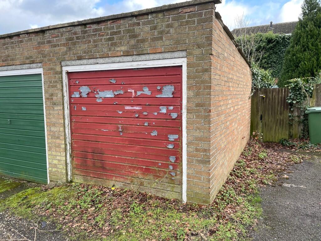 C  Medium  T202501301458.jpg