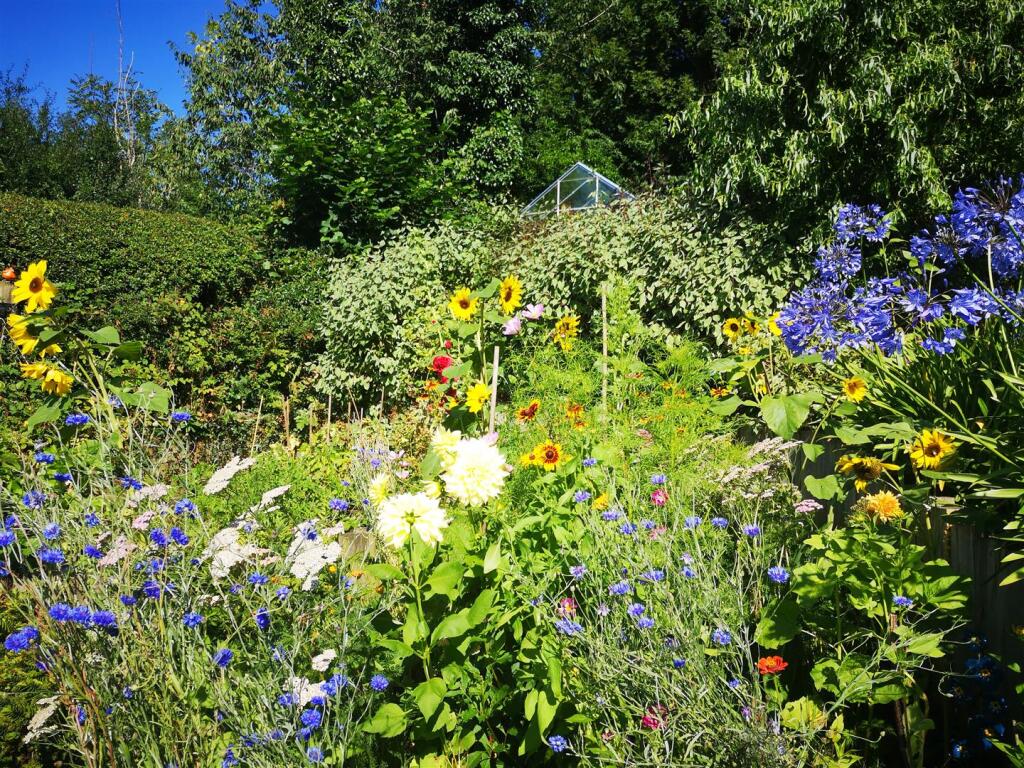 Garden 4.jpg