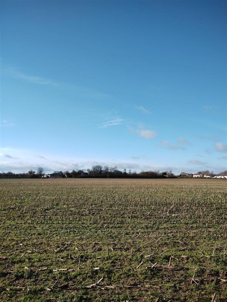 103949-002.jpg