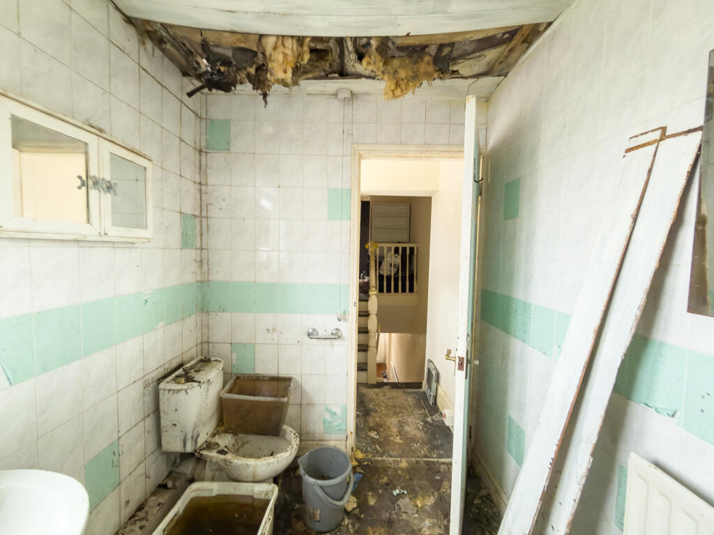 IMG 5525 T202510060941.jpg