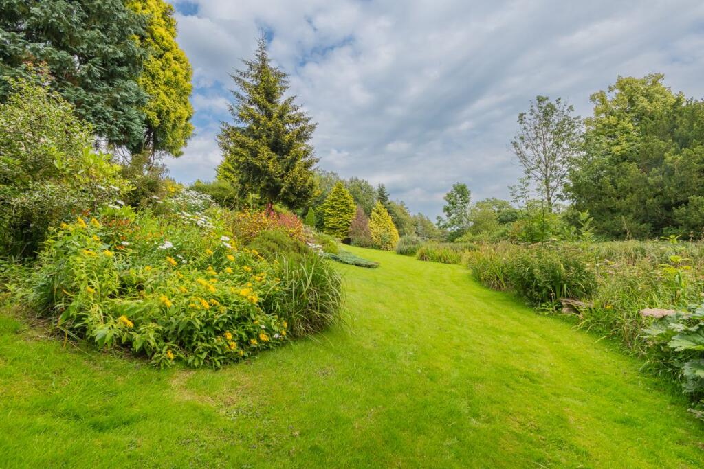 Lawn