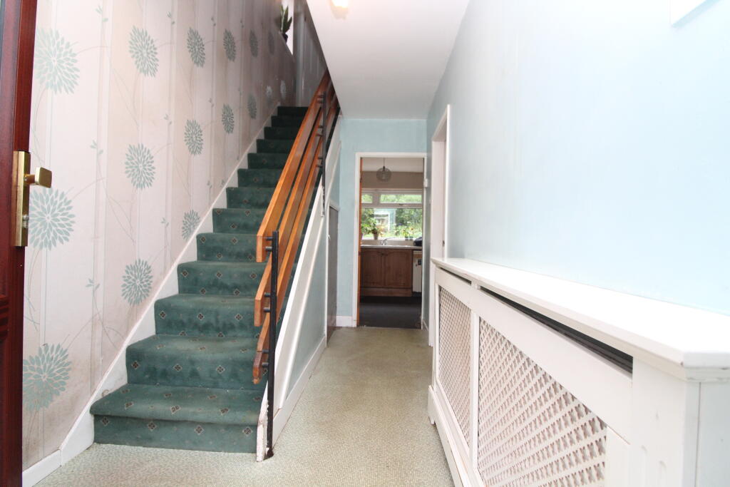 IMG 7014 T202510231138.jpg