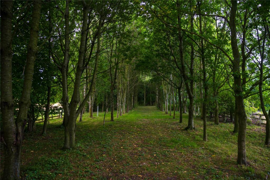 Woodland