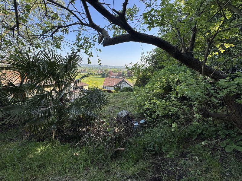 View from Upper Path