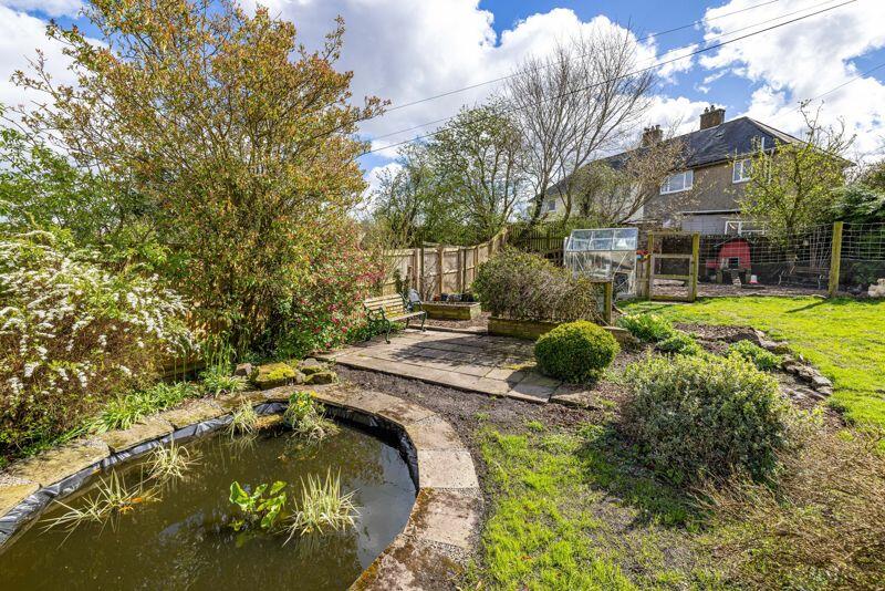 Pond &amp; Patio
