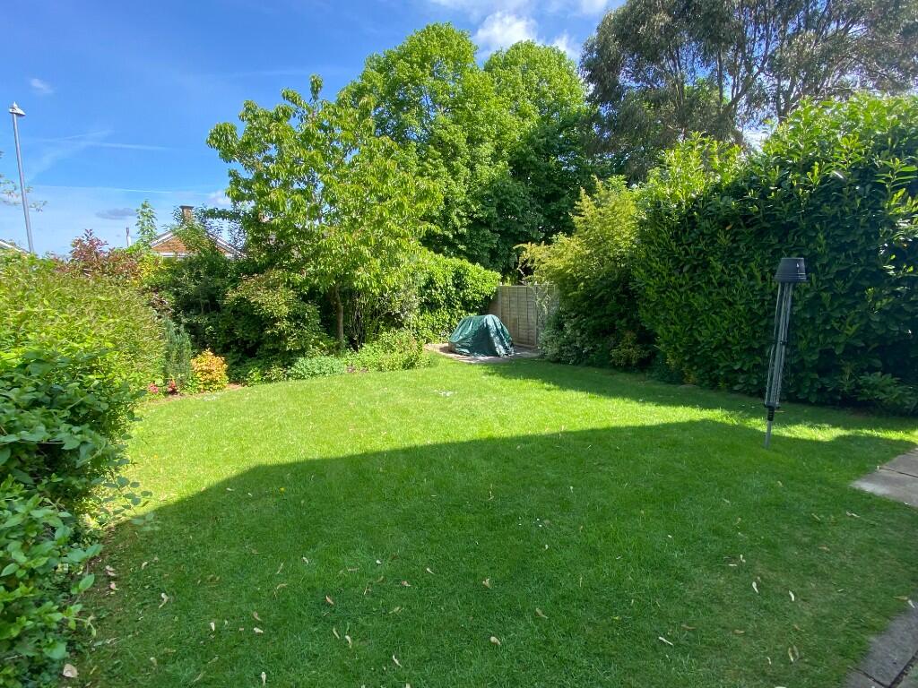 Back Garden