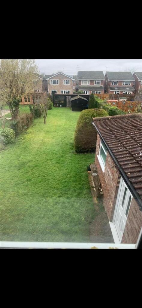 garden1.jpg