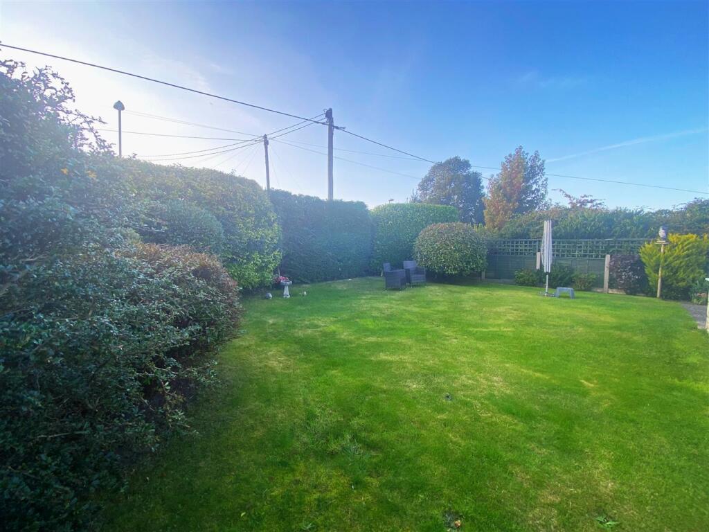 back garden new.jpg