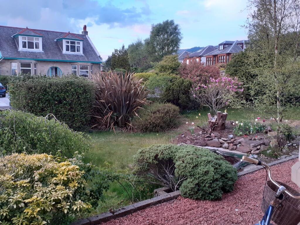Garden 7.jpg
