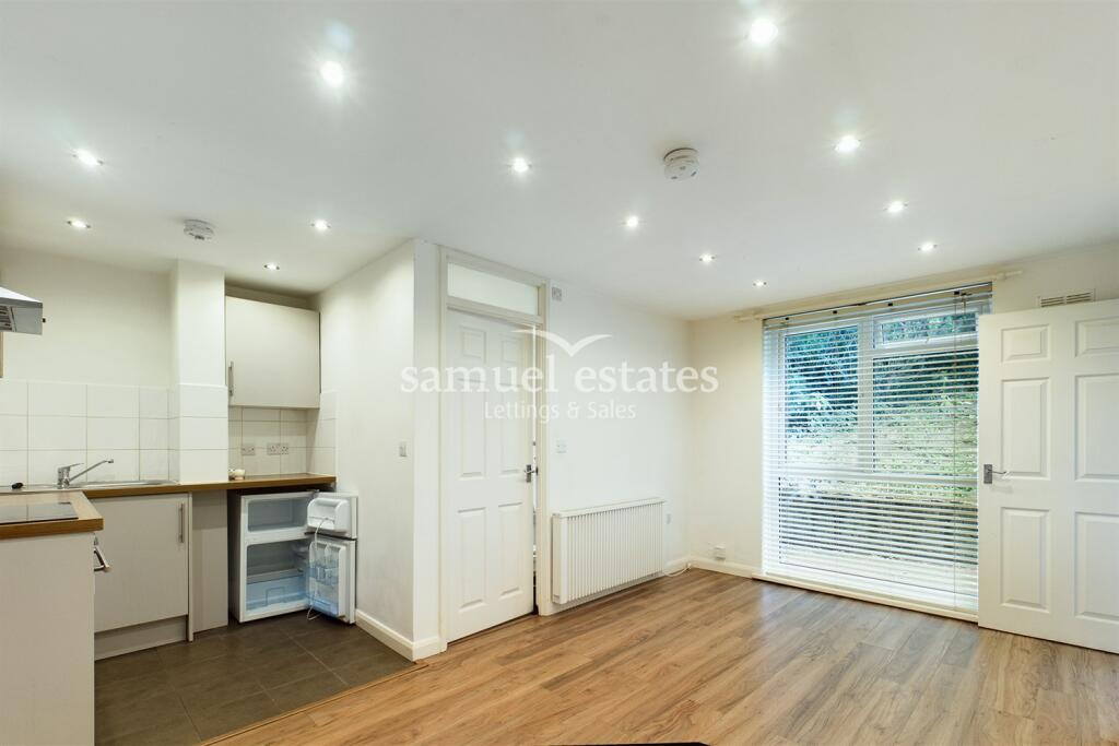 Lounge / Bedroom