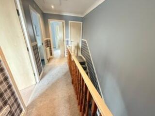 12 Newton landing 3