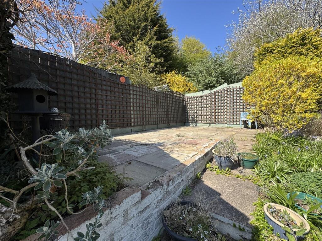 IMG_1278 (Large).JPG