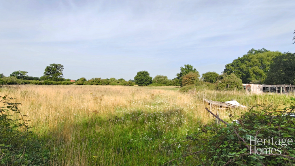 IMG20250813101456-fotor-20250814143425