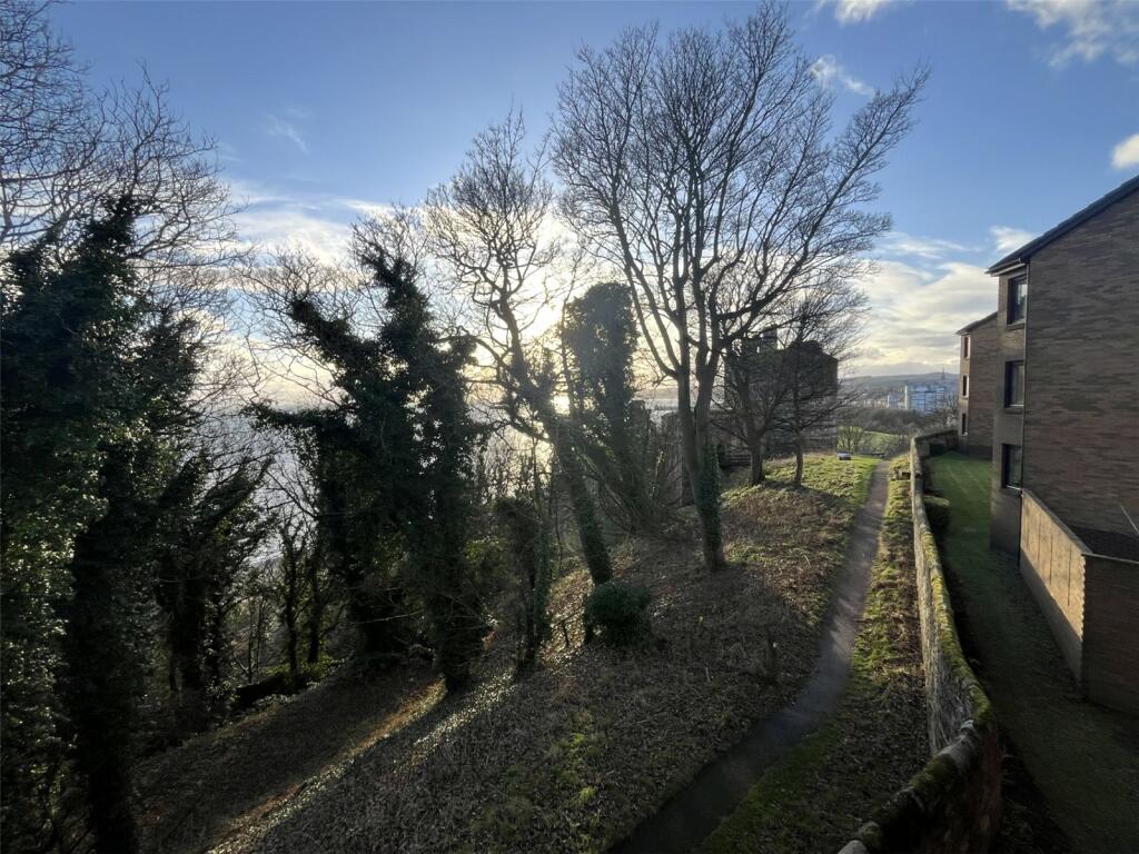 View From Living Rm