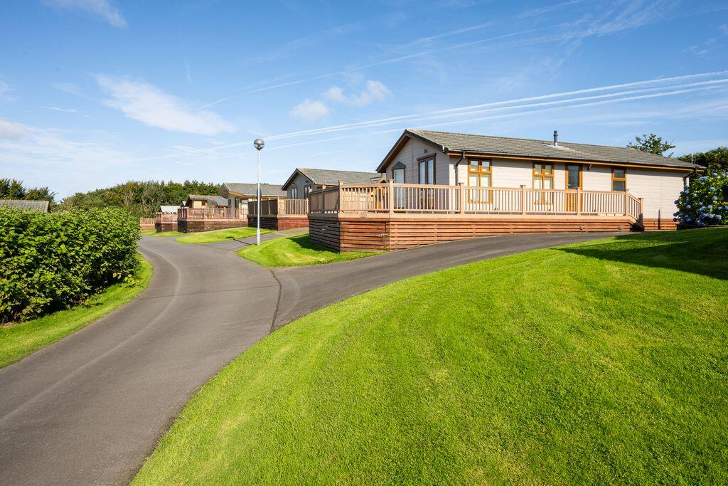 2024 Stowford Farm Meadows Devon Photoshoot (6)