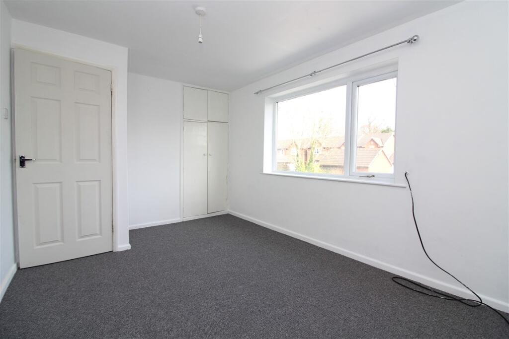 IMG 4772  Medium  T202503141450.jpg