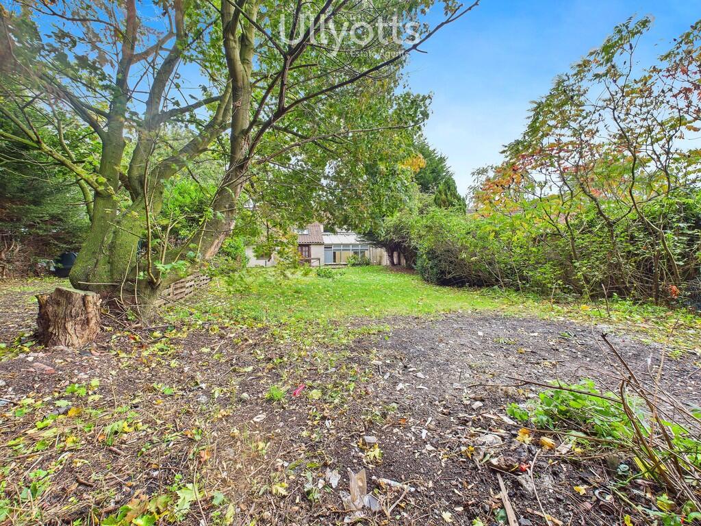 Rear of Property