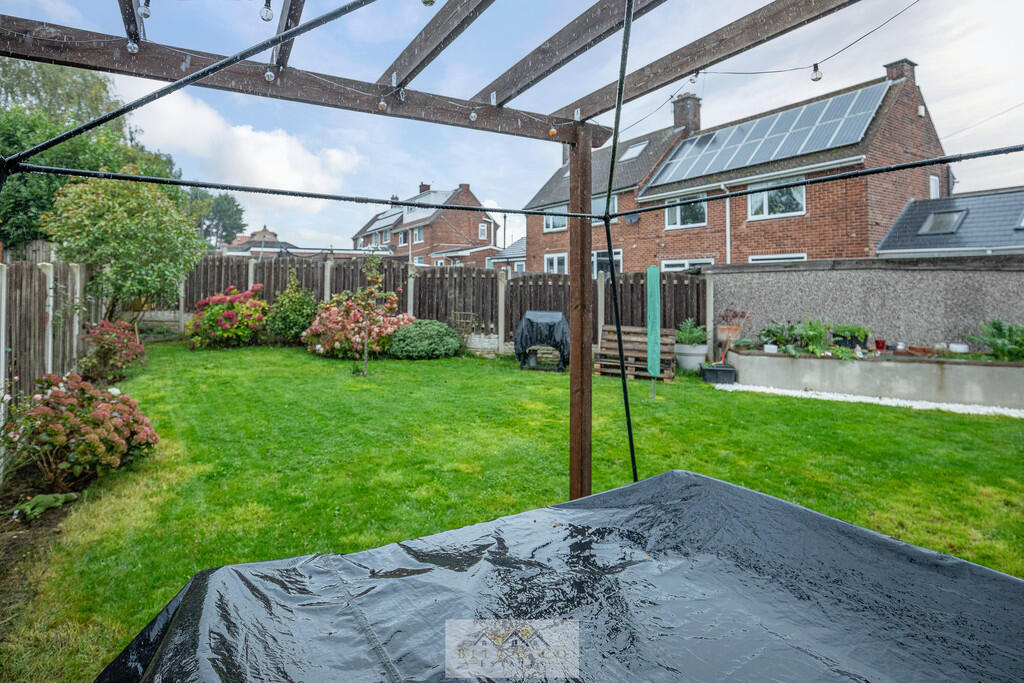 Back garden 1.1