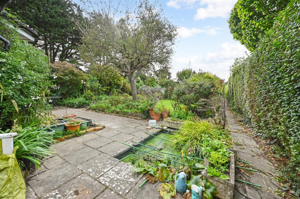 Rear Patio