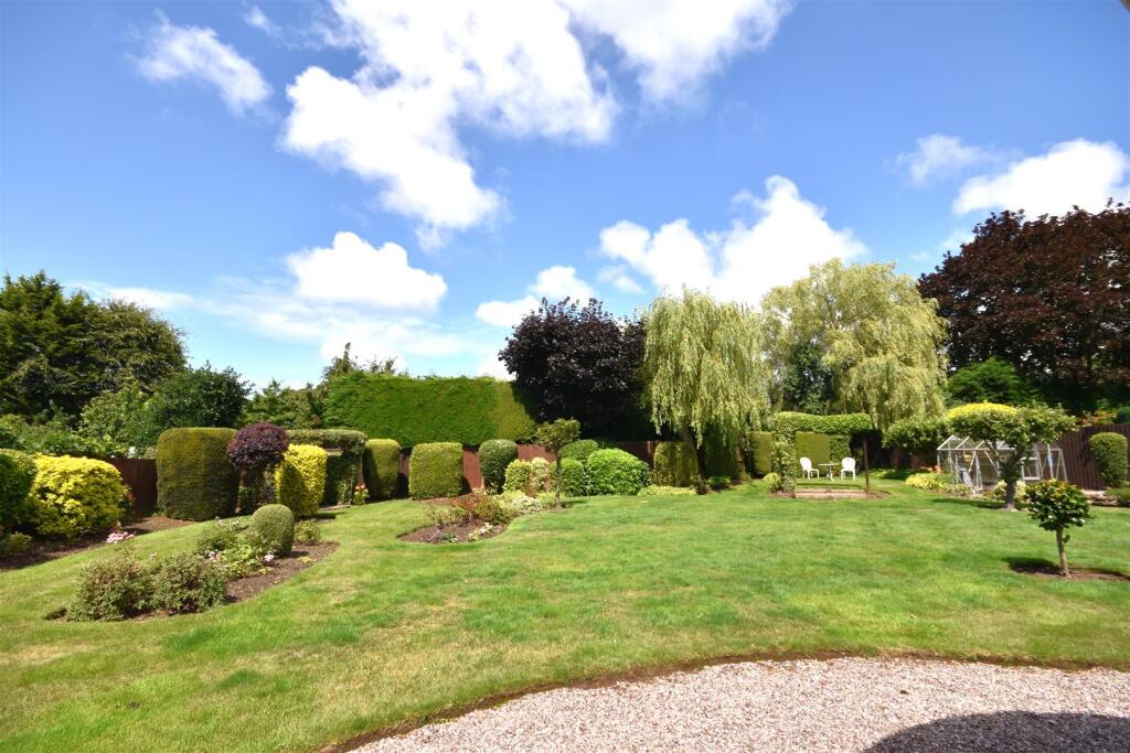 DSC_0325 - Copy (3).JPG