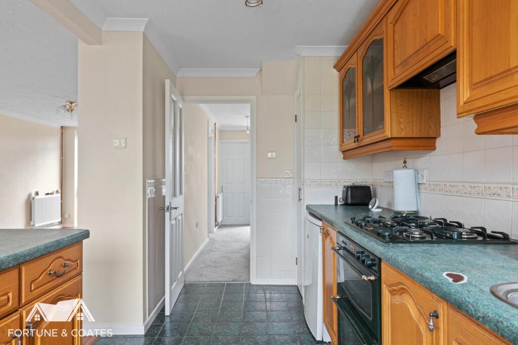 PaddockMead_18.jpg