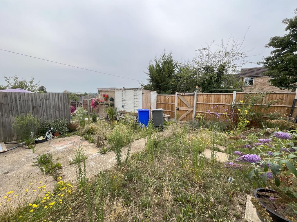 Garden T202508131542.jpeg