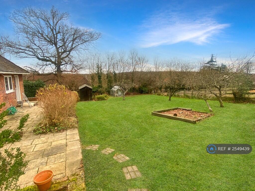 Back Garden 