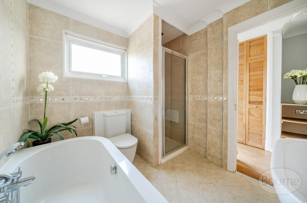 49c38b9e-224e-49b...