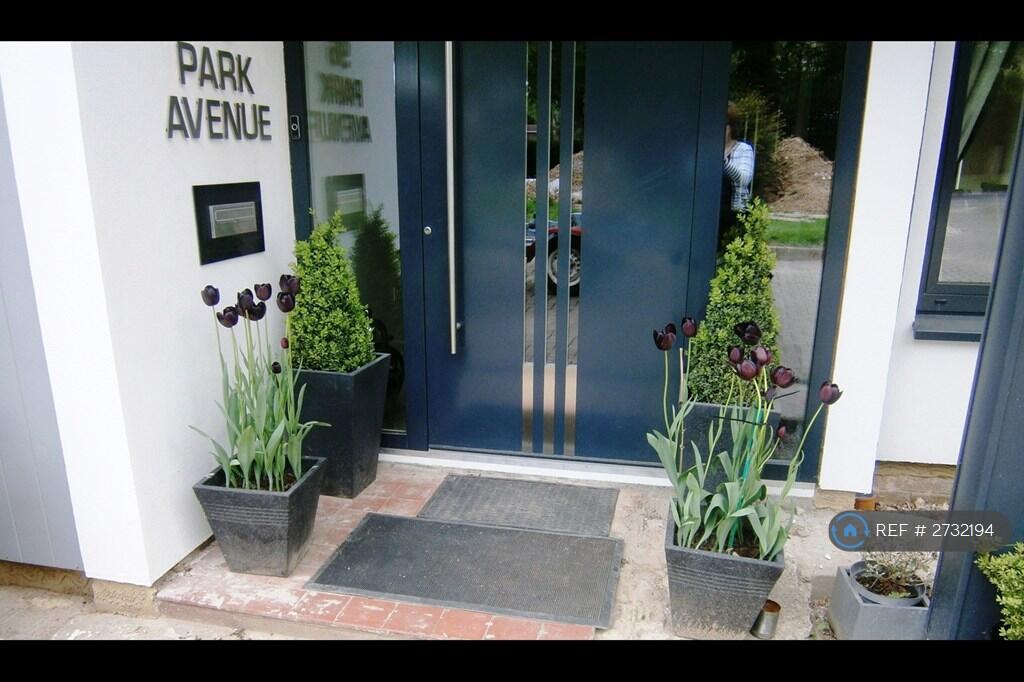 Park Avenue 