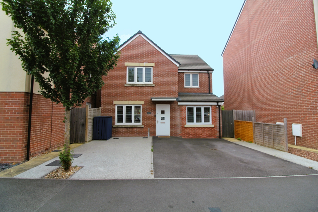 Untitled design (54)