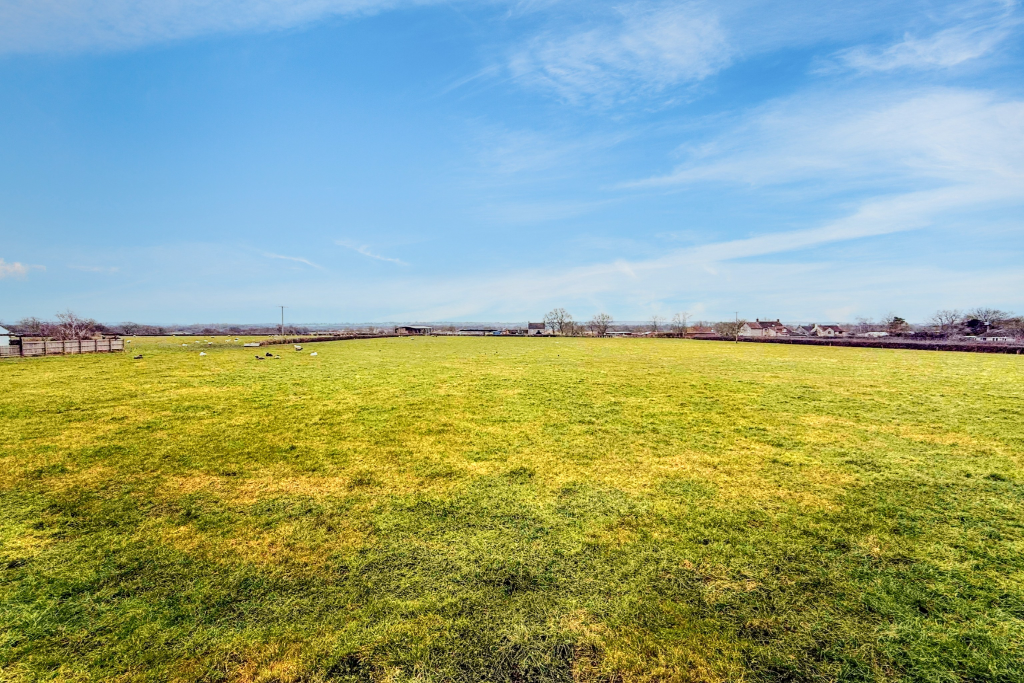 IMG_1705 2 (Portal Size).jpeg