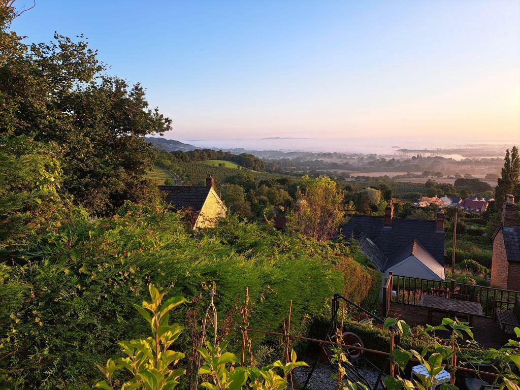 View from the top of the garden