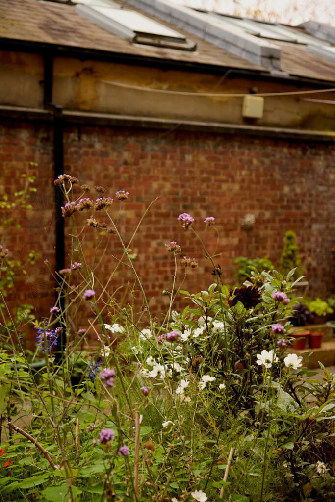 241191 - STEPNEY GREEN_HIRES_37.JPG