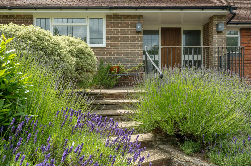 1315835-3-685d453...