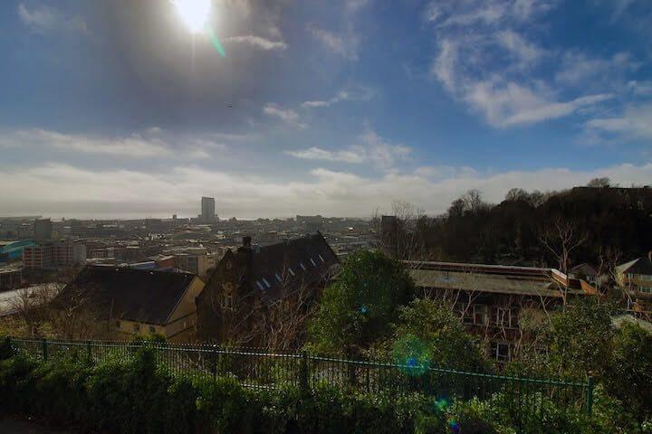view