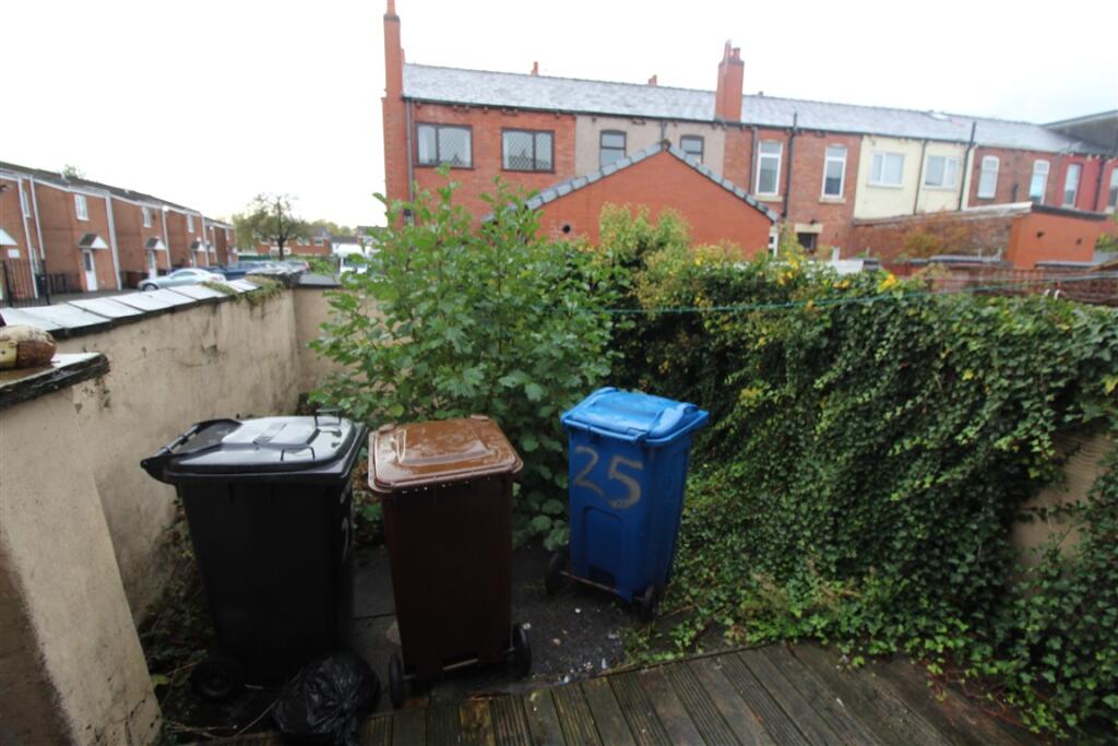 IMG 7067  Medium   2  T202510231203.jpg