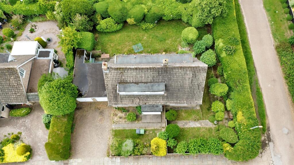 DJI_0017.jpg