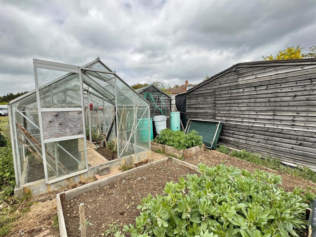 veg patch 3.jpg