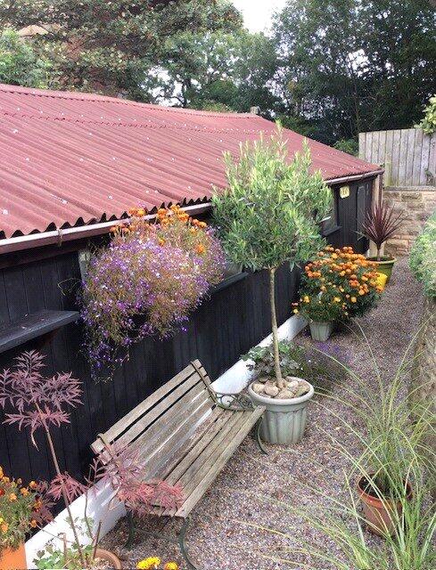Garden In Summer