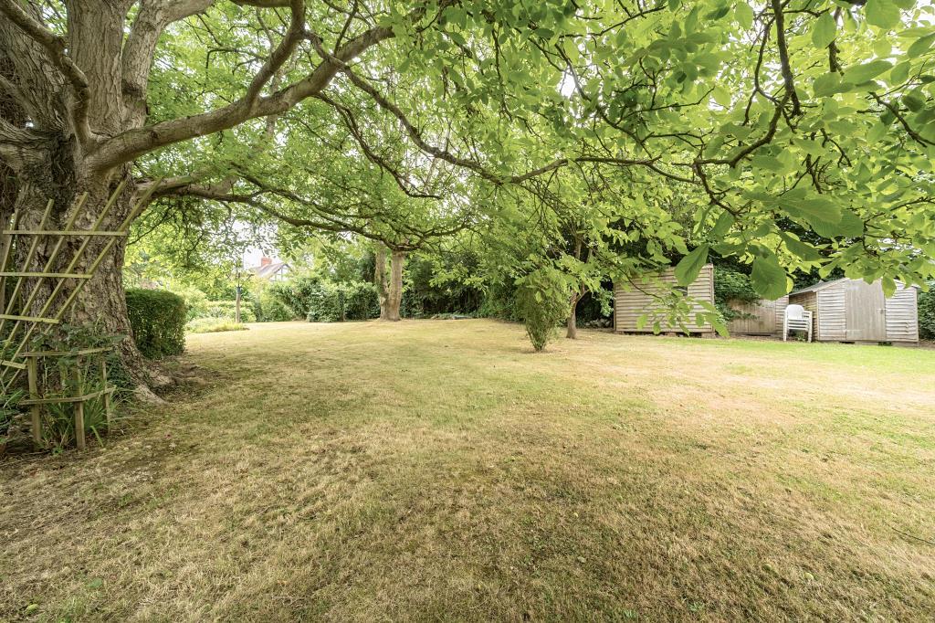 Photos
