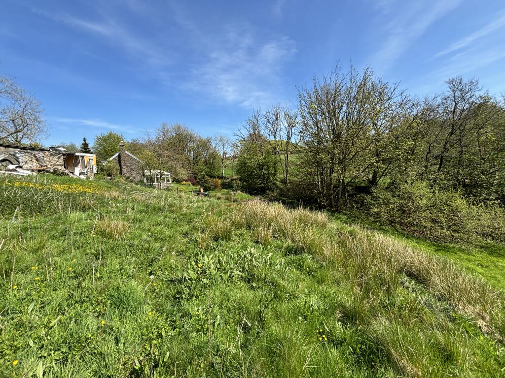 IMG 7826 T202508041512.jpg