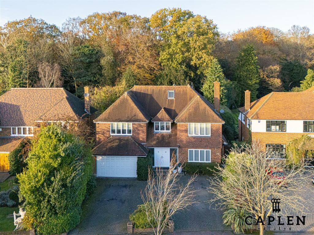 DJI_20241122145639_0029_D copy.jpg