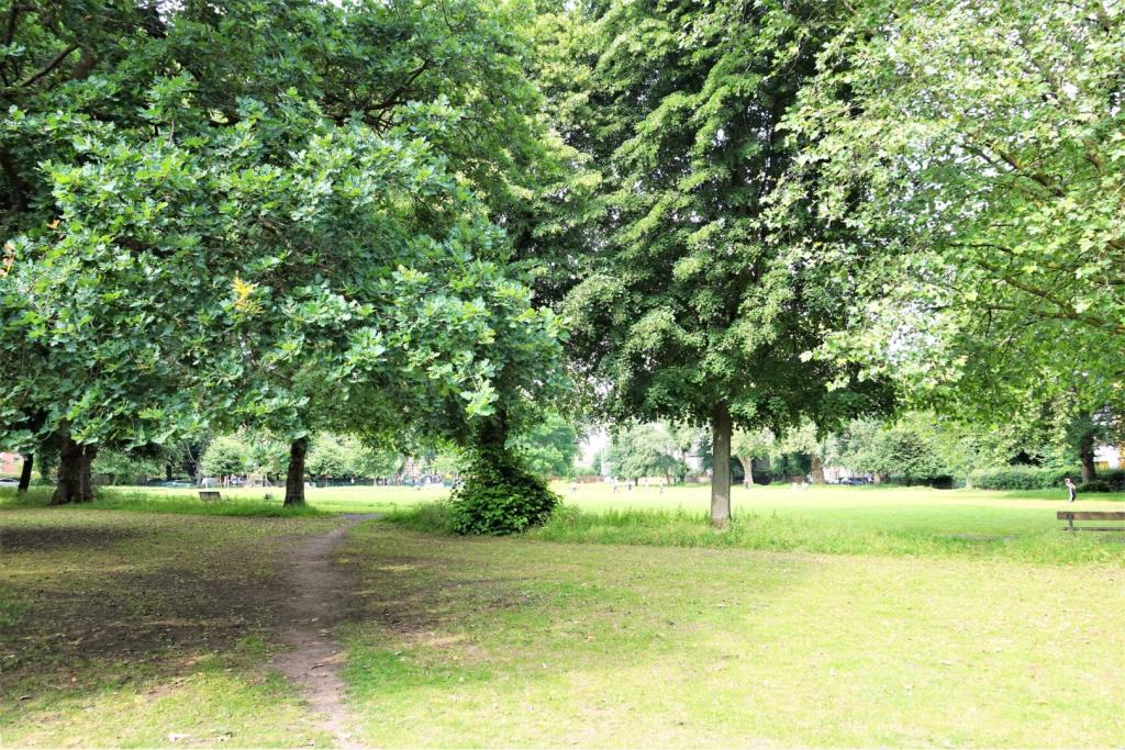 The Park